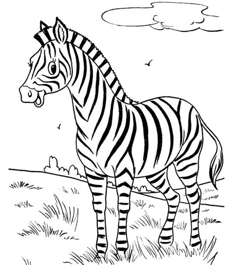 zebra templates  psd vector eps png format