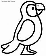 Coloring Pages Parrot Kids Bird Dibujo Para Loro Color Dibujos sketch template