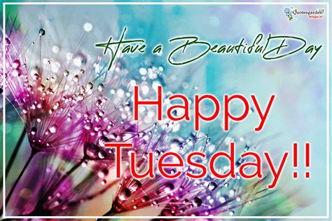 happy tuesday messages daily beautiful quotations  beautiful pictures