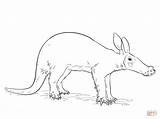 Aardvark Coloring Draw Pages Drawing Step Tutorials Categories Supercoloring sketch template