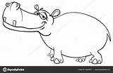 Ippopotamo Vettoriali Hippopotamus Cartoni Animati sketch template