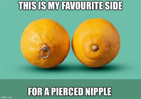 Nipple Piercing Imgflip