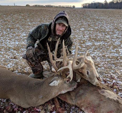 ohio bowhunter builds incredible fighting buck mount big deer