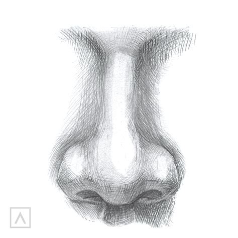 draw  nose    steps arteza