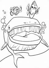 Nemo Ausmalbilder sketch template