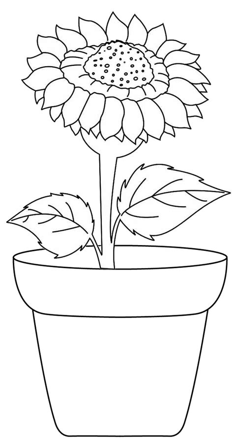 beautiful sunflower coloring pages  girls coloring pages