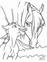 Cimarron Stallion sketch template