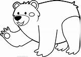 Urso Colorir Ursos Imprimir Orso Colorido Atividades Stampare sketch template