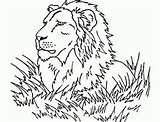 Lion Coloring Kids Pages Color Printable Simple Children Group Justcolor sketch template
