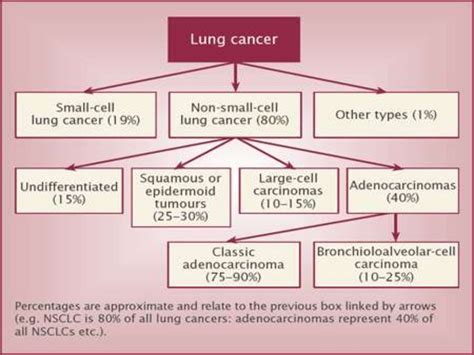 Classification Of Lung Tumors