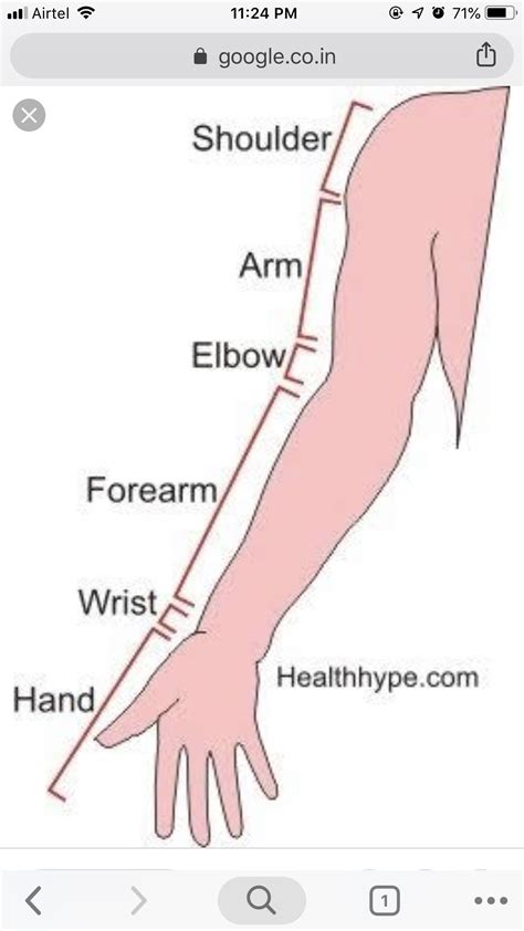 parts of the arm malayuswea