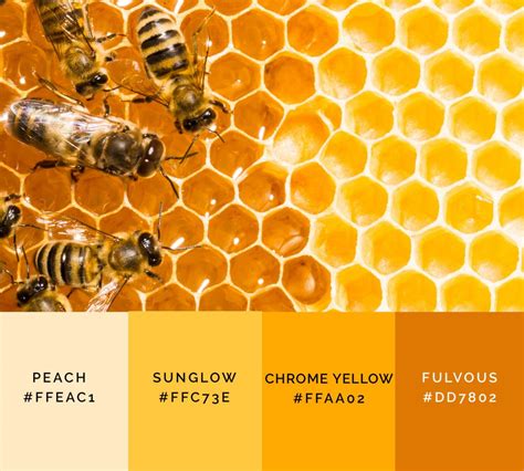 shades  yellow color  names hex rgb cmyk  colors explained