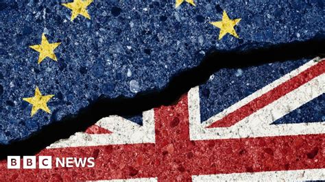 brexit article    fit  purpose bbc news