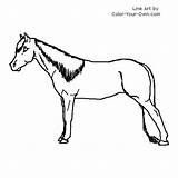 Coloring Tennessee Mare Horse Walking Pages Color Designlooter Walker 500px 78kb Drawings sketch template