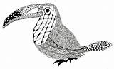 Zentangle Animal Animals Toucan Drawings Designs Easy Simple Tangles Coloring Patterns Pattern Print Terry Con Zentangles Pages Drawing Flowers Tangling sketch template