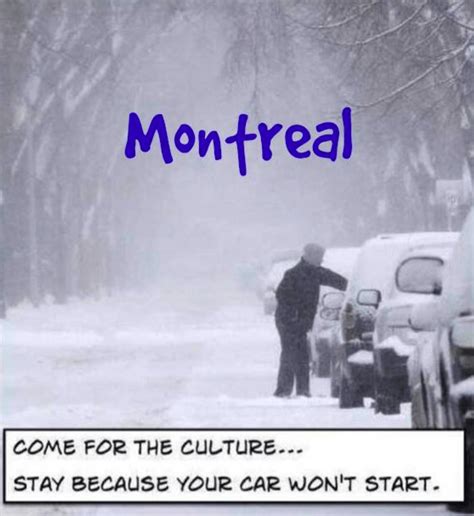 11 hilarious memes every montrealer can relate to daily hive montreal