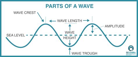 lowest point   transverse wave lexiekruwreed