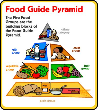 proomic healthy food pyramid  kids