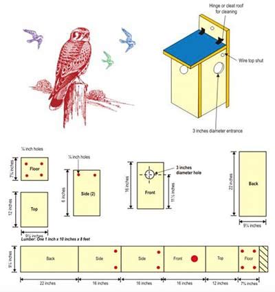 printable bluebird house plans house design ideas