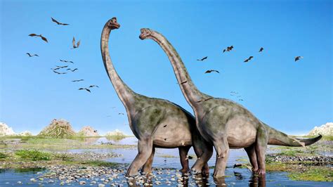 sauropod dinosaurs lived   earths warmer regions earthcom