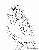 Dot Owl Dots Printable Game Connect Games Birds Kids Printables Math Hellokids Pages Potter Harry Kid Coloring Bird Sheet Print sketch template
