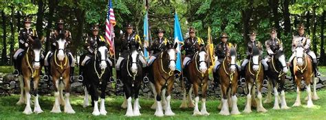 mounted patrol unit  castle county de official website