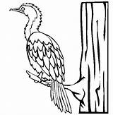 Cormorant Coloring Pages Color Bird Pied Little Animals sketch template