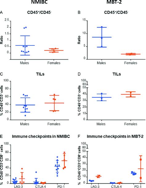 Our Syngeneic Mbt 2 Murine Model Reproduces Bca Sex Differences