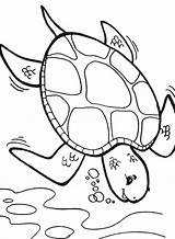 Turtle Coloring Sea Pages Printable Color Deep Diver Box Cartoon Colouring Getcolorings Turtles Printables Drawing Getdrawings Se Popular Template Colorings sketch template