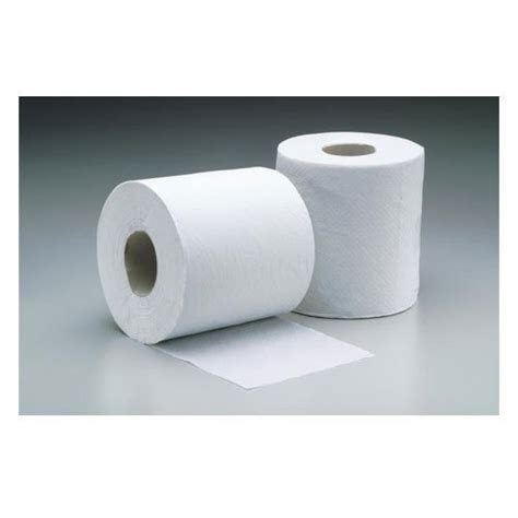Fortune Plain Toilet Tissue Roll Rs 30 Roll Minerva Technologies Id