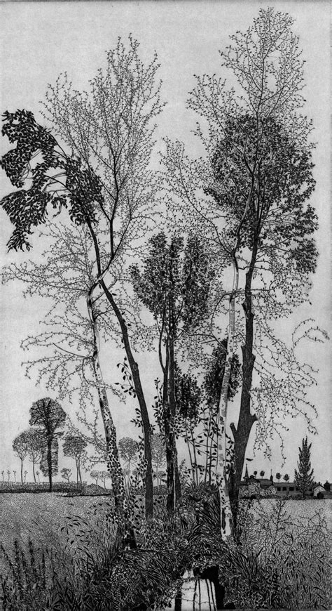 An Old Black And White Drawing Of Trees