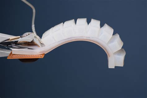open soft robotics research plos collections