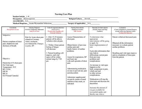 nursing care plan clinical judgment model nursing care plan student