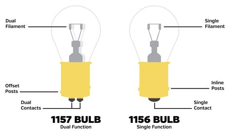 bulb socket wiring diagram campbelllylya