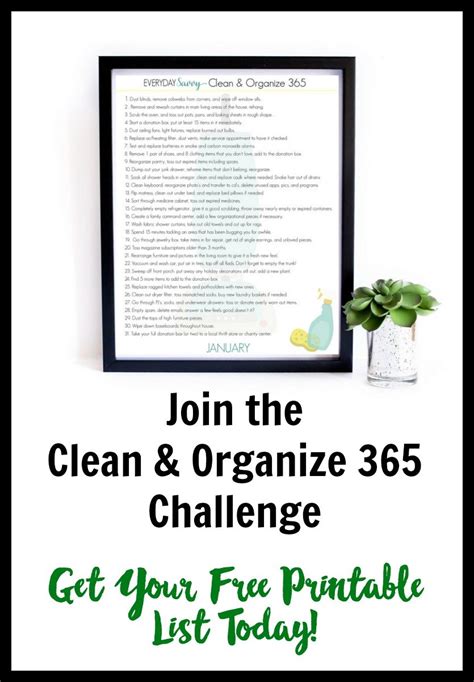 clean  organize  february everyday savvy