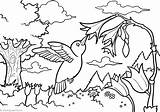 Birds Coloring Pages Finds Something Flower sketch template