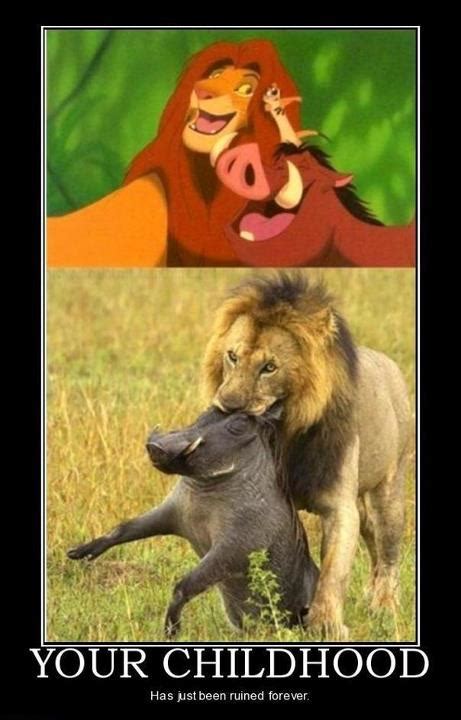 lion king meme   ruin  memories