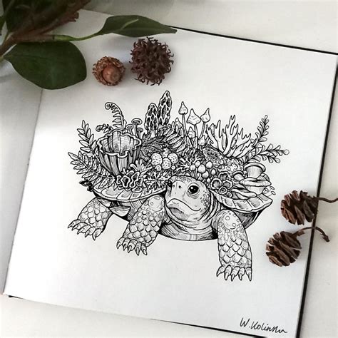 intricate drawings  animals created   tortoise drawing