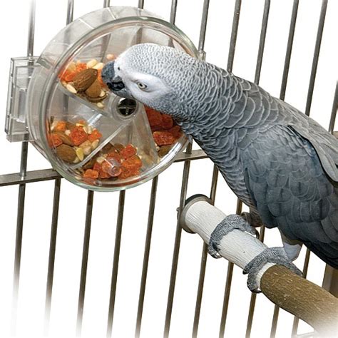 original parrot foraging wheel garden feathers bird supplies poultry supplies cage