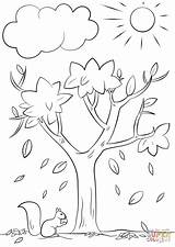 Coloring Tree Pages Autumn Fall Printable Drawing sketch template