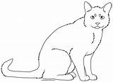 Cat Sitting Lineart Deviantart Template Color Digital Line Chat Choose Board sketch template
