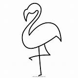Colorare Ausmalbild Flamenco Fenicottero Flamingos Flamencos Vogel Ausmalbilder Beak Zeichnen Schnabel Favpng Ultracoloringpages Beatles sketch template