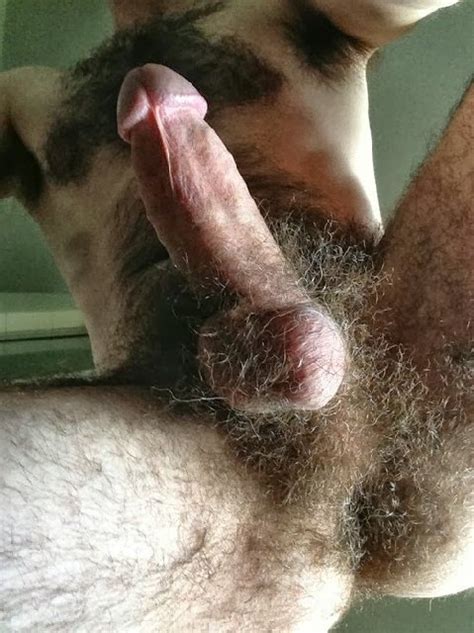 hairy balls pin all your favorite gay porn pics on milliondicks