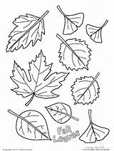 Coloring Fall Pages Leaves Kids Autumn Thanksgiving Leaf Tree Printable Disney Maple Color Drawing Year Sugar Parents Crayola Sheets Preschool sketch template