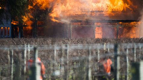 No One Hurt In Marlborough Blaze But Nothing Structural Left To Save