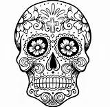 Skull Mexican Adults Skulls Scull Getdrawings Getcolorings sketch template