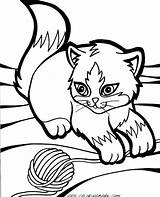 Coloring Kitten Pages Print Printable Color Kittens Getcolorings sketch template