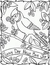 Coloring Blue Pages Jay Animal Birds Bird sketch template
