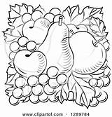 Coloring Pear Apricots Apple Blossom Vector Grapes Clipart Apricot Illustration Royalty Tradition Sm 86kb 470px sketch template