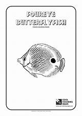 Coloring Pages Butterflyfish Cool Print sketch template